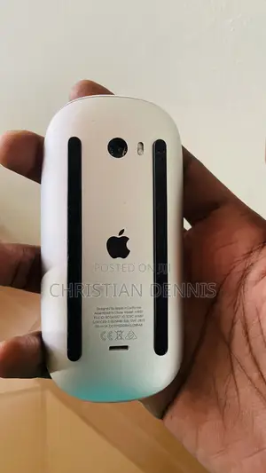 Apple Magic Mouse
