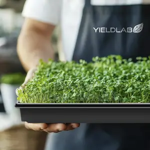 Hydroponic Trays for Leafy Greens - No Holes