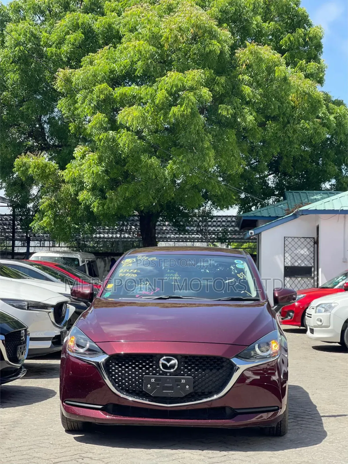 Mazda 2 2019 Maroon
