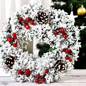 Snow Flocked Front Door Christmas Wreath