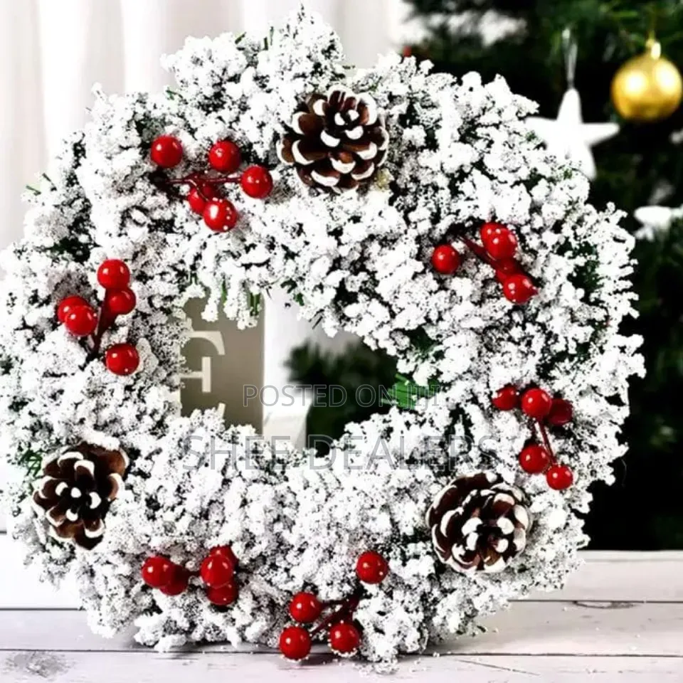 Snow Flocked Front Door Christmas Wreath