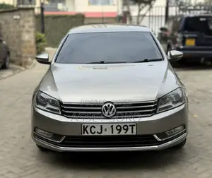 Volkswagen Passat 2014 Brown