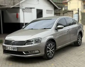 Volkswagen Passat 2014 Brown