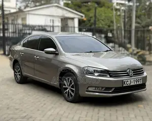 Volkswagen Passat 2014 Brown