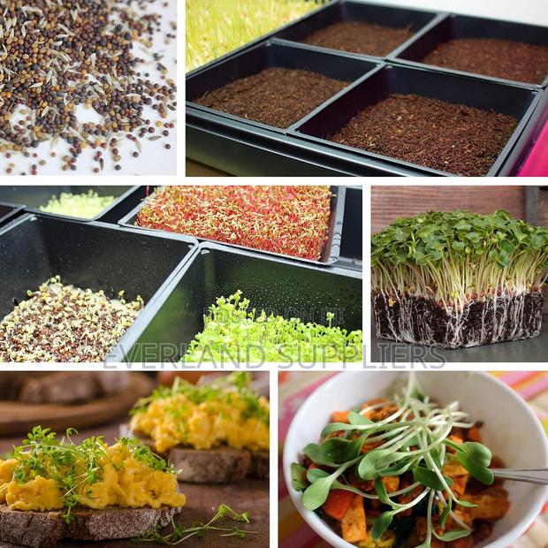 Hydroponic Microgreens Trays - main view