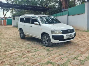 Toyota Probox 2009 White