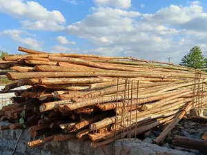 Timber Shutter Props for Sale Wholesale and Retail