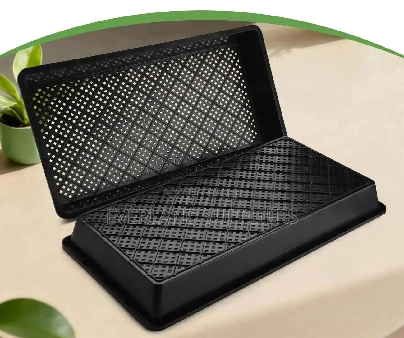 Reusable Hydroponic Trays -With Holes