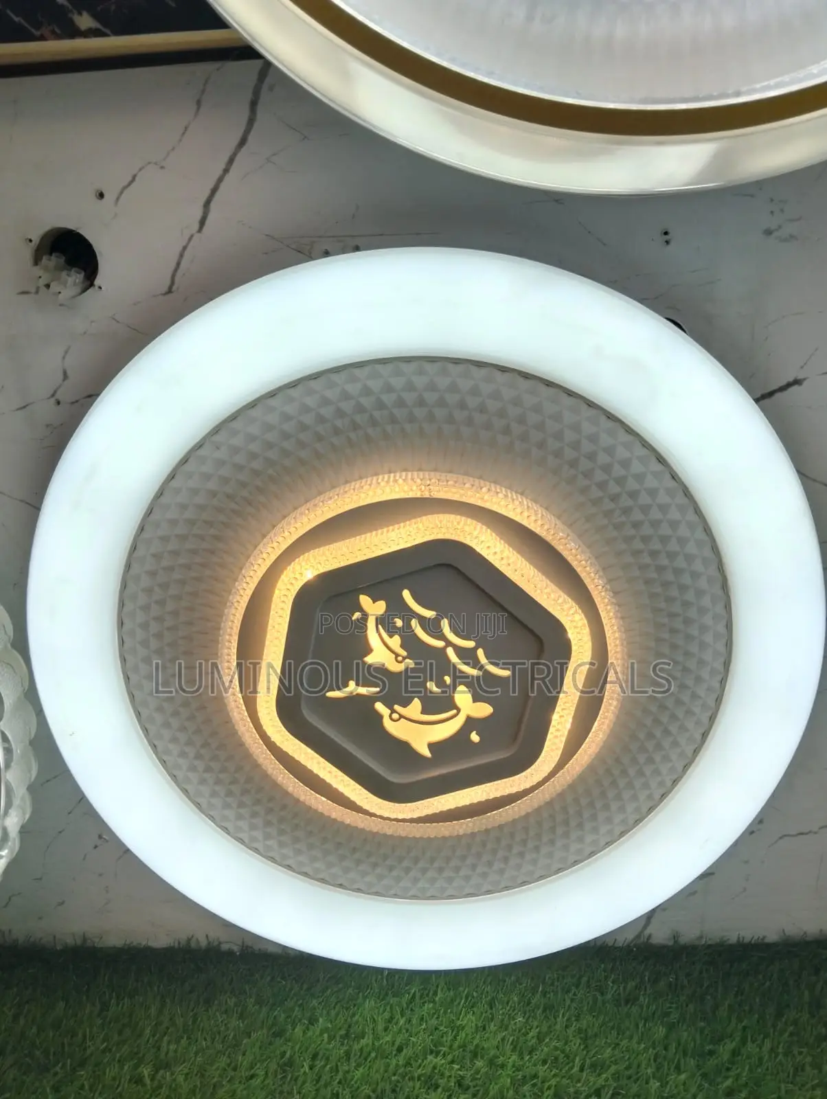 Playful Dolphin LED Multi-Ring Flush Mount Ceiling Light