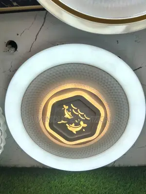 Playful Dolphin LED Multi-Ring Flush Mount Ceiling Light