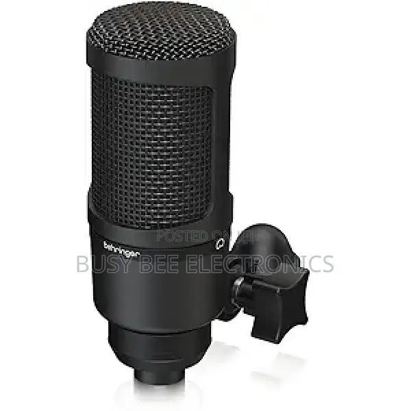 Behringer BX2020 Condenser Microphone