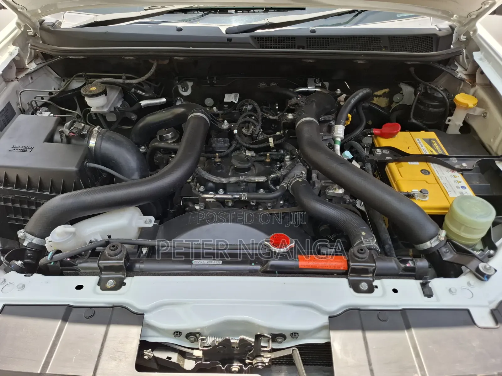Isuzu D-MAX 2024 White