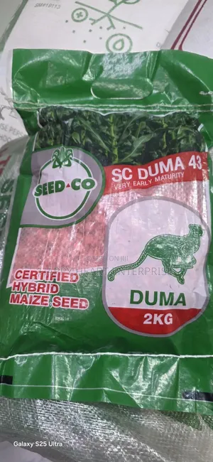 Sc Duma 43 2kg Hybrid Maize Seed