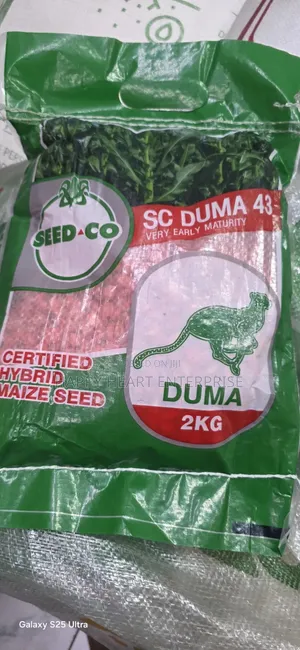 Sc Duma 43 2kg Hybrid Maize Seed