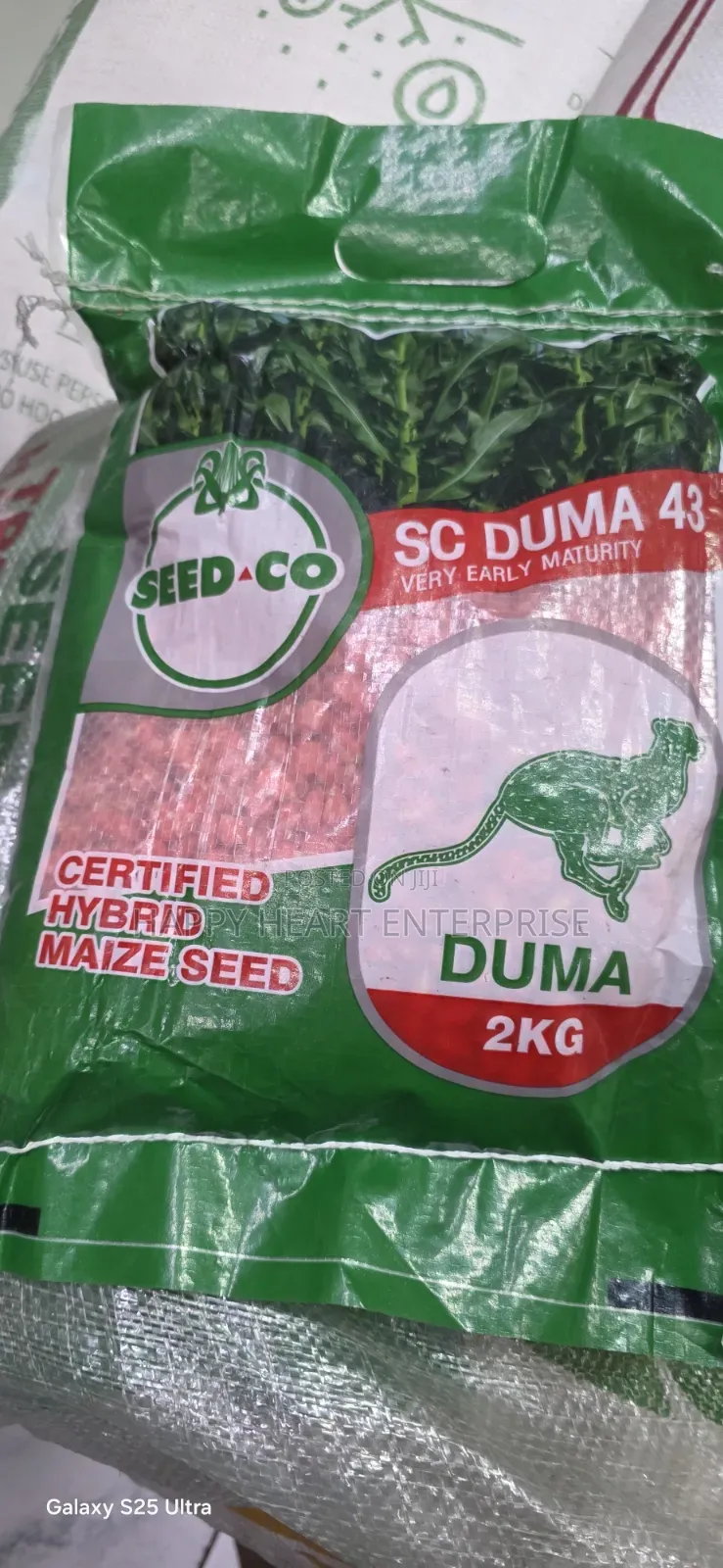 Sc Duma 43 2kg Hybrid Maize Seed