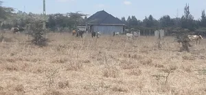 Land Suitable for Building Hostels