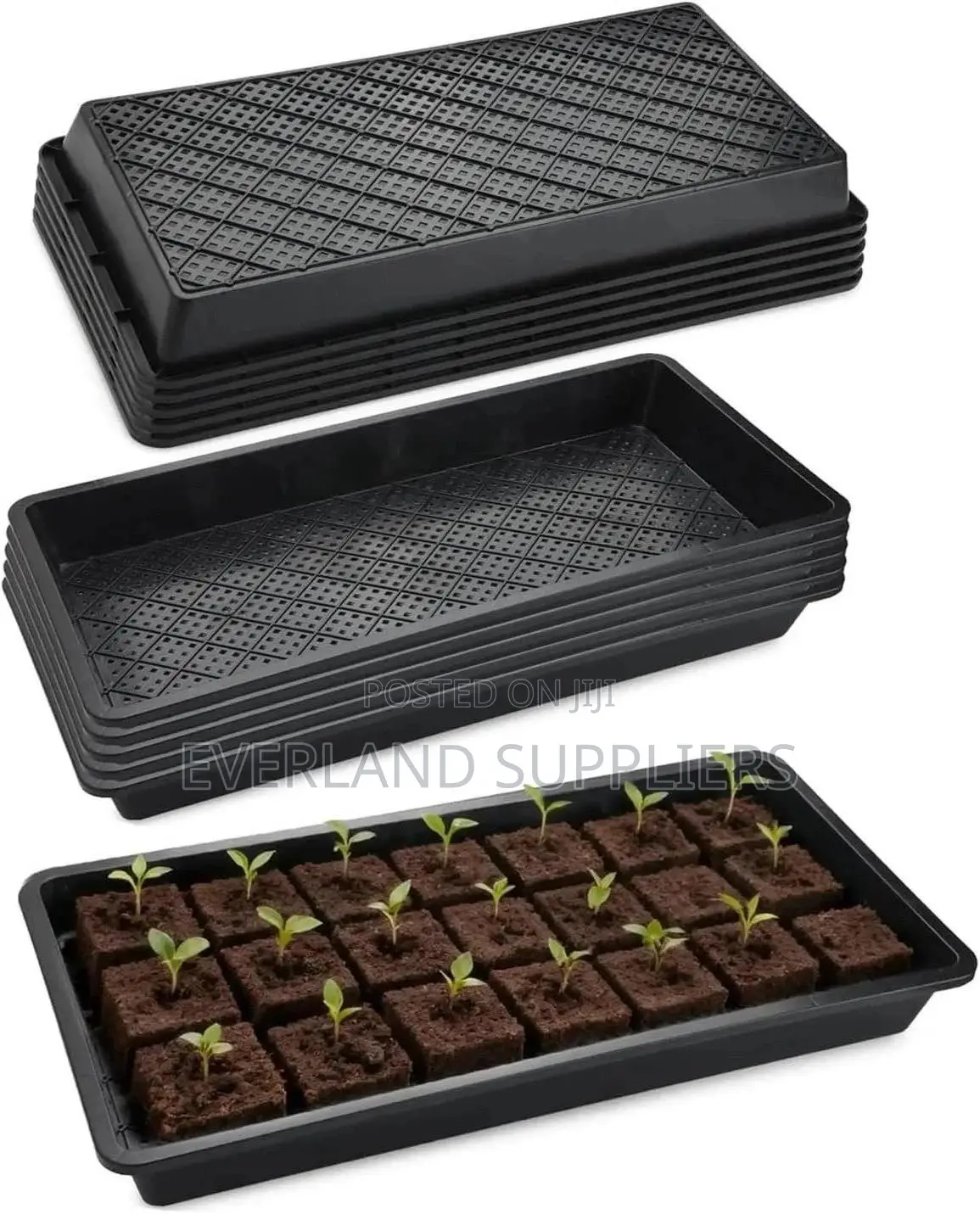 Space-Saving Hydroponic Trays - With Holes