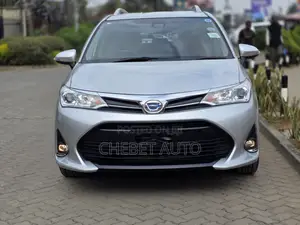 Toyota Corolla Fielder 2019 Silver