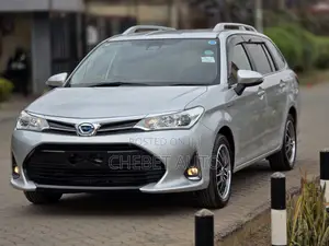 Toyota Corolla Fielder 2019 Silver
