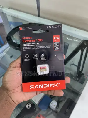 256gb Sandisk Extreme Go Microsdtm Uhs-I Card