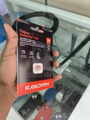 256gb Sandisk Extreme Go Microsdtm Uhs-I Card