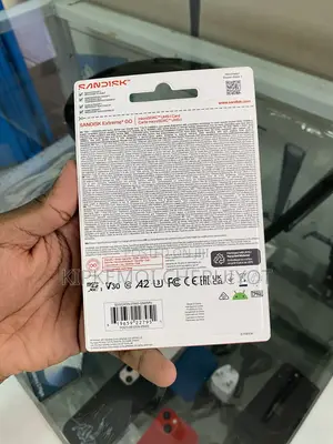 256gb Sandisk Extreme Go Microsdtm Uhs-I Card
