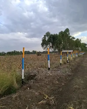 50x100 Plot Naishi Baraka Gardens Njoro 350K - Title Ready