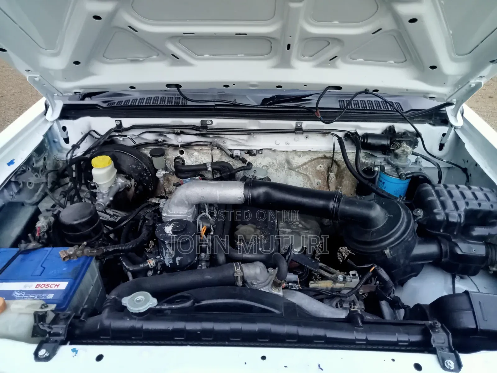Nissan Hardbody 2003 White