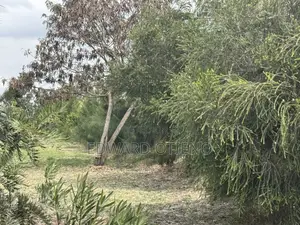 1.13 Acres Tuala Oloosirkon Near Kitengela Glass