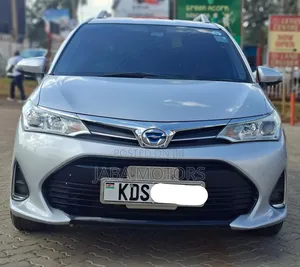 Toyota Corolla Fielder 2018 Silver