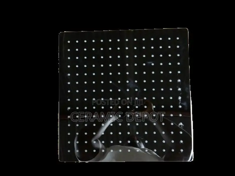 Shower Head 40 LW106