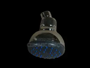 Shower Rose 1001H-02