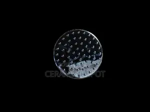 Shower Rose 1018H m19