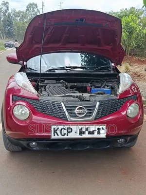 Nissan Juke 2011 Red