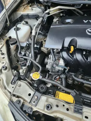 Toyota Allion 2009 Silver