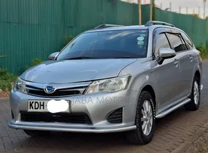 Toyota Corolla Fielder 2015 Silver