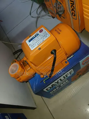 Dayliff Econo DDP 60E Domestic Pump, a Peripheral Water Pump