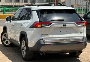 Toyota RAV4 Adventure 2019 White