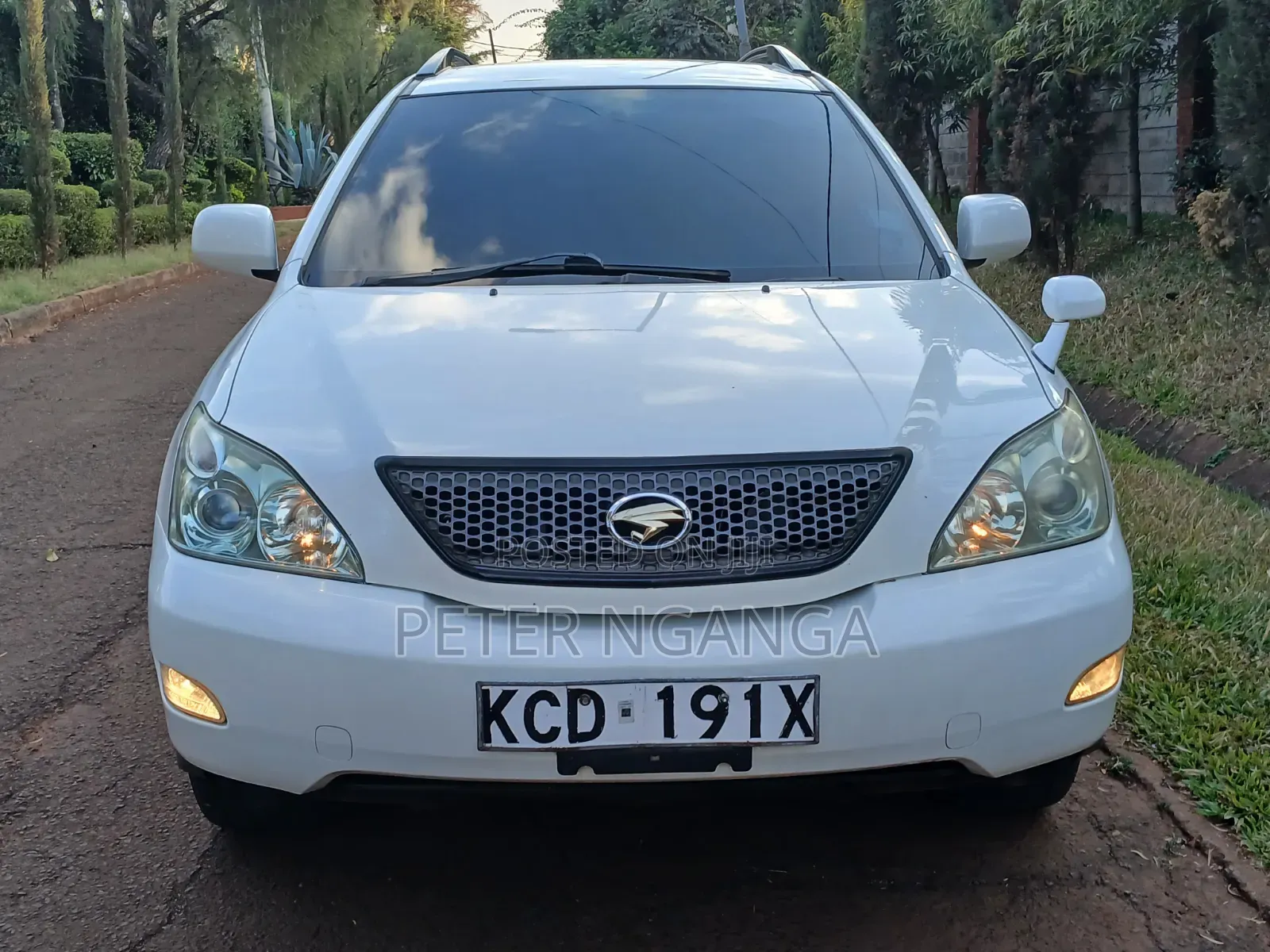 Toyota Harrier 2008 White