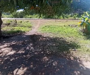 Plots/ Parcels of Land