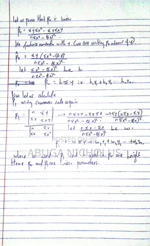 Econometrics and Statistics Consultancy