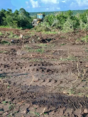 50 × 100 Plots Forsale in Kilifi Near Ngalla Sandy Beach.