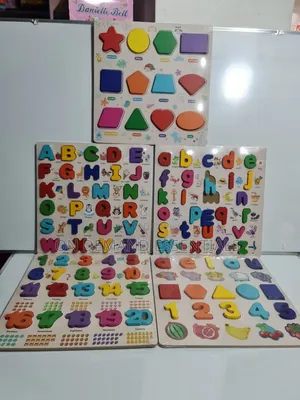 Big Educational Board