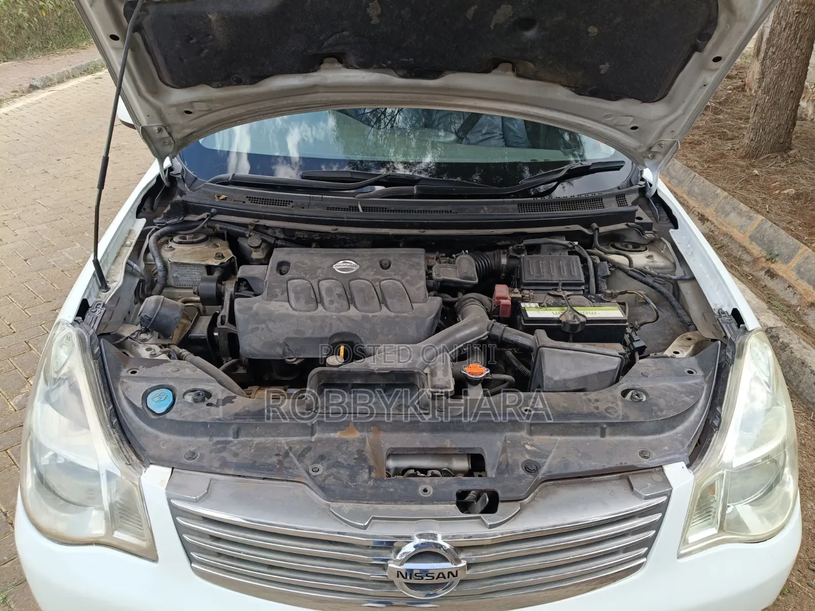 Nissan Sylphy 2006 White