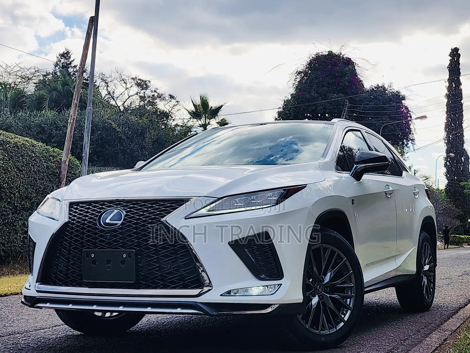 Lexus RX 300 4WD 2019