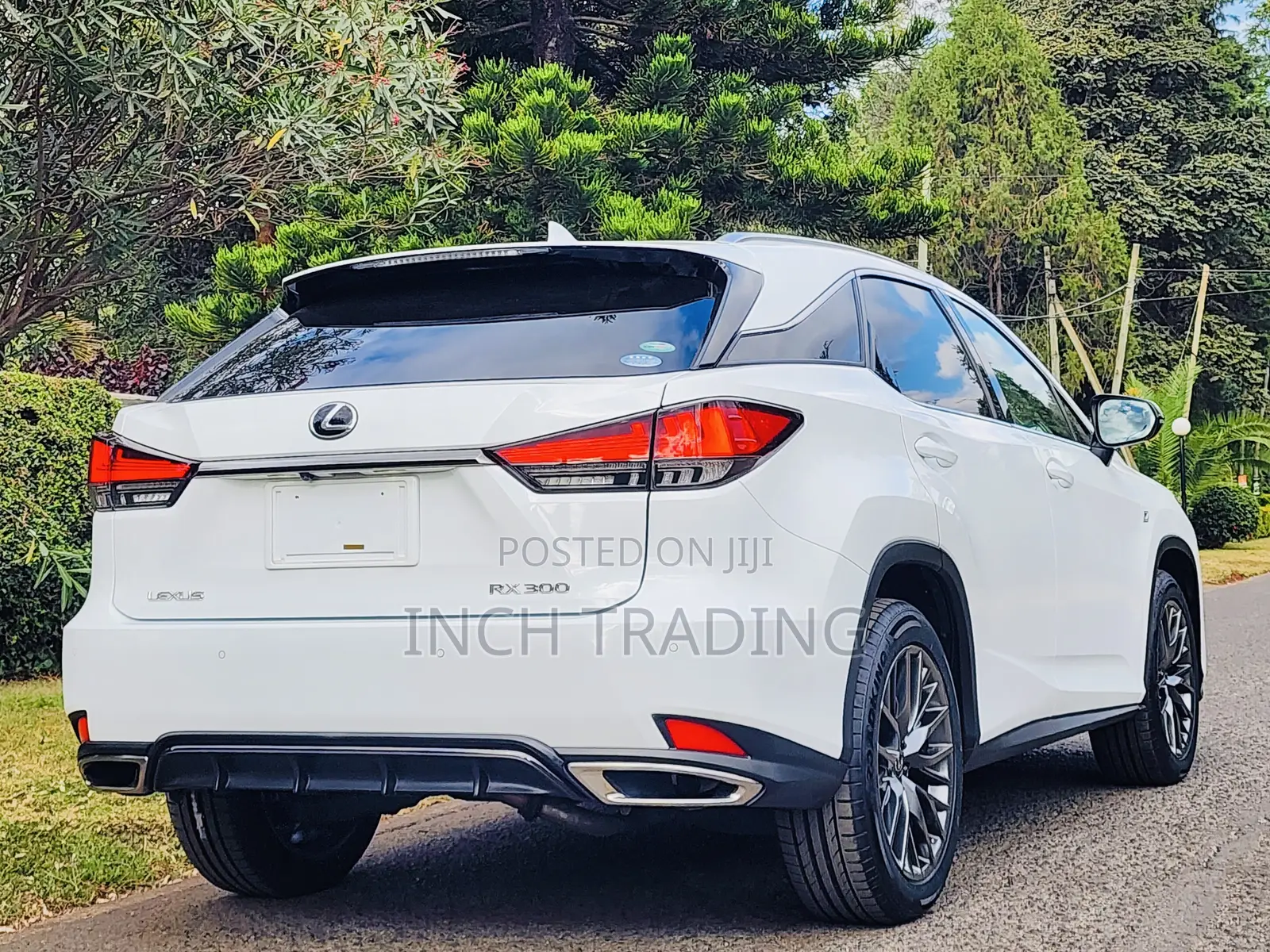 Lexus RX 300 4WD 2019