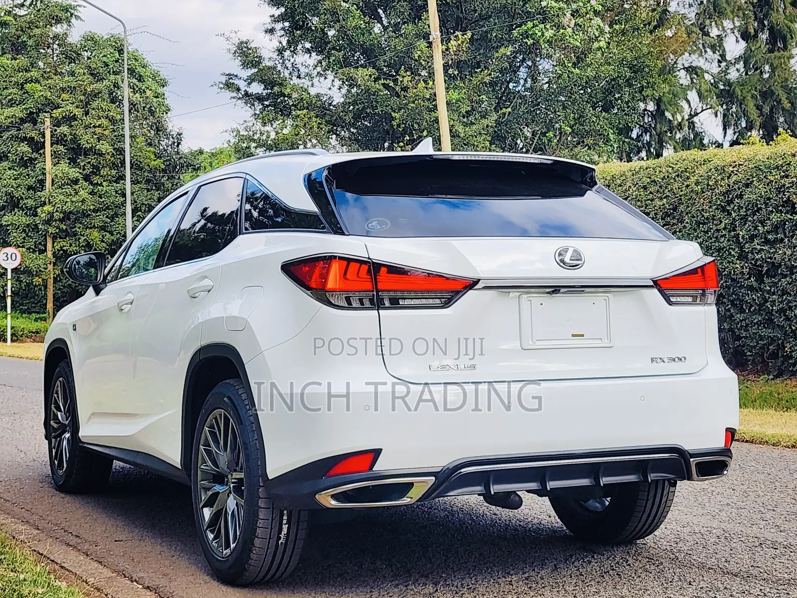 Lexus RX 300 4WD 2019