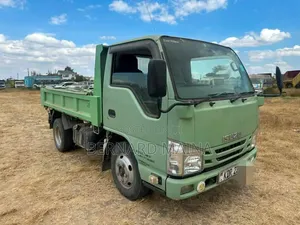 Isuzu Elf Truck 2017 Model