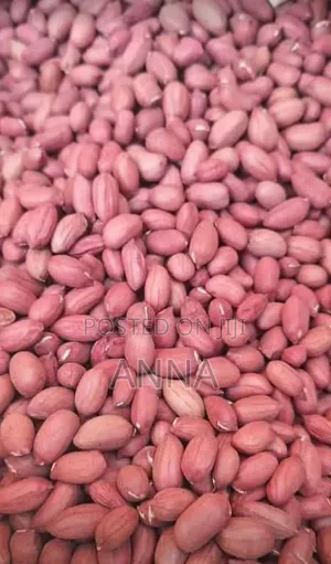 Groundnuts for Sale
