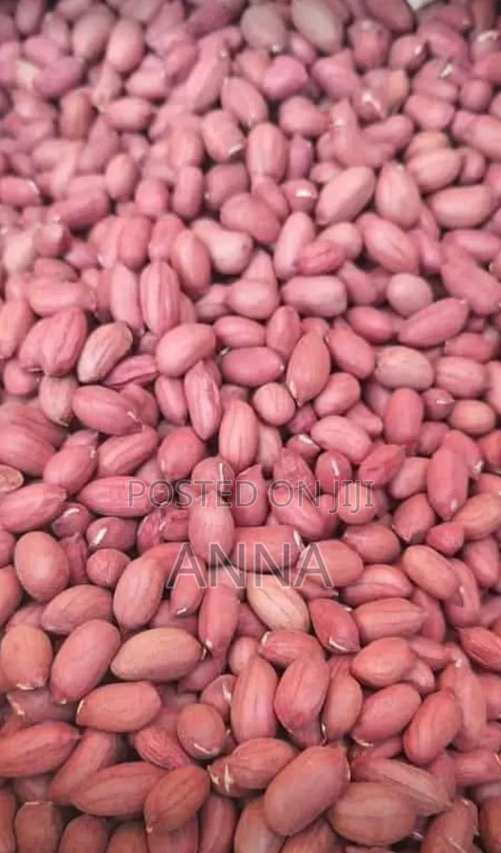 Groundnuts for Sale